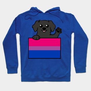 Love is Love Puppy - Black Lab - Bi Pride Flag Hoodie